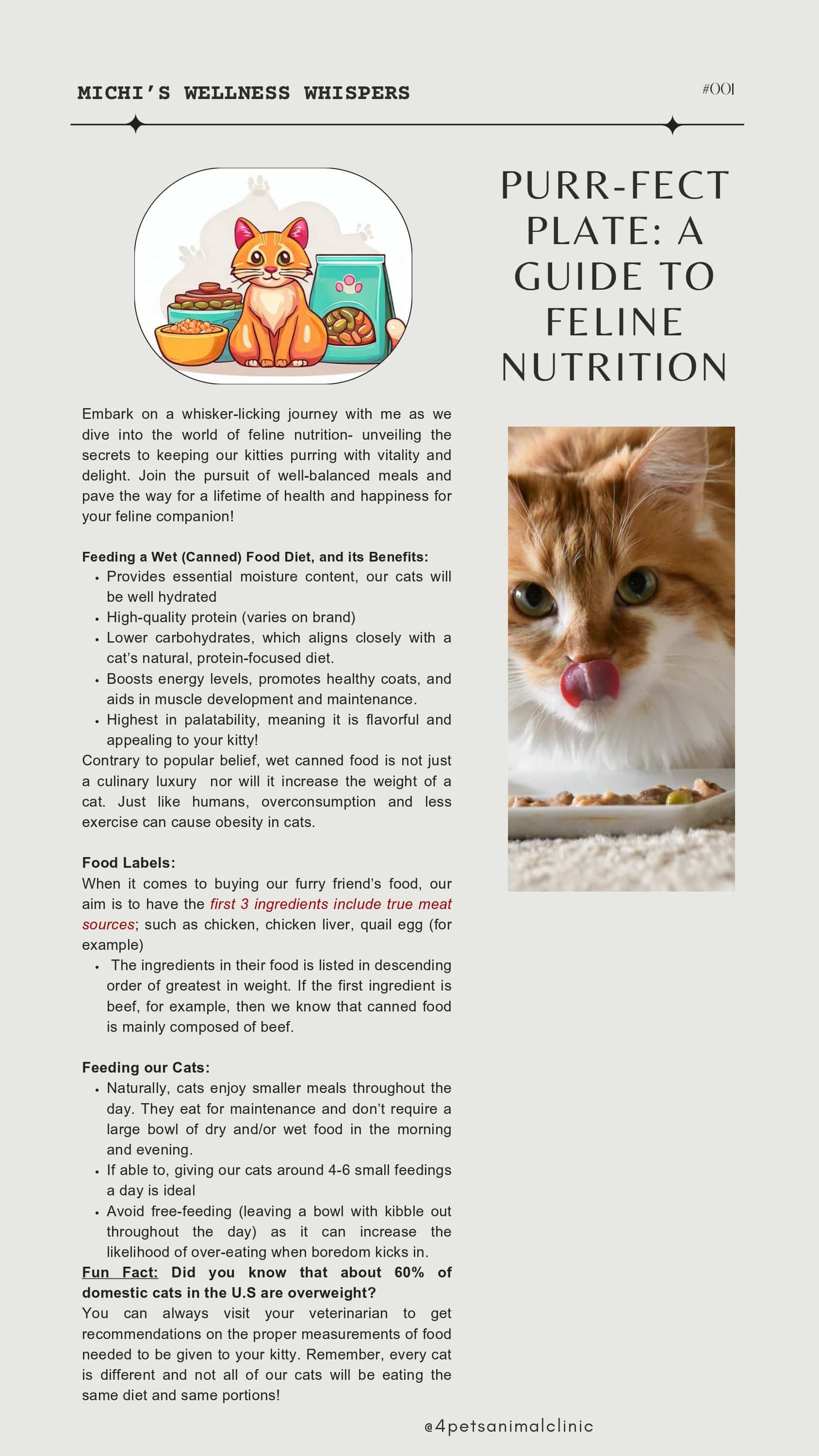 Feline Nutrition
